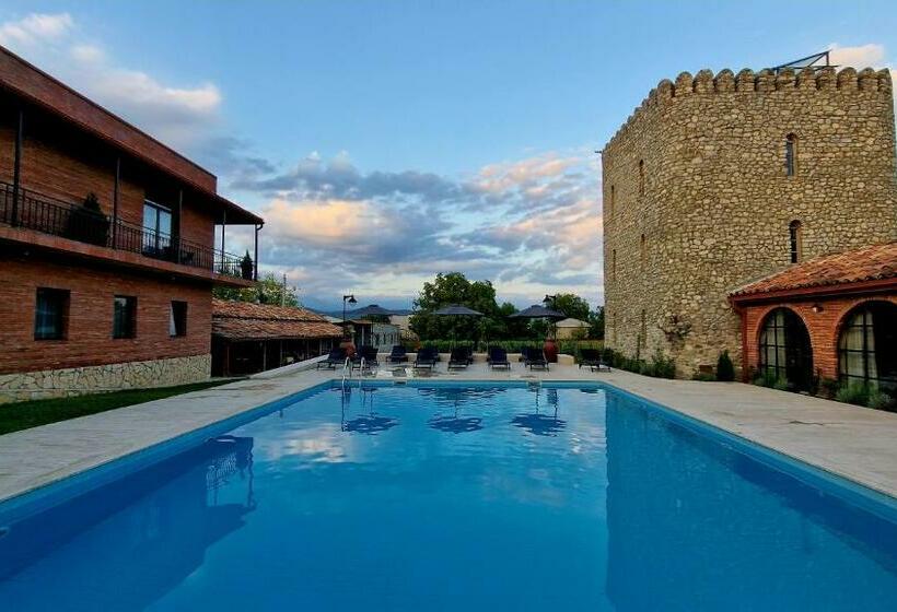 هتل Giorgi Ushikishvilis Chateau Marani