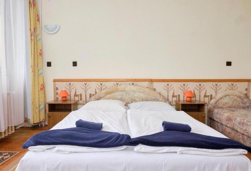 酒店 Retro Lido Vonyarcvashegy