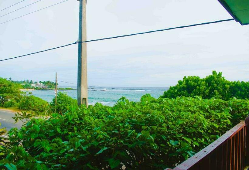 בית מלון כפרי Surfers Paradise