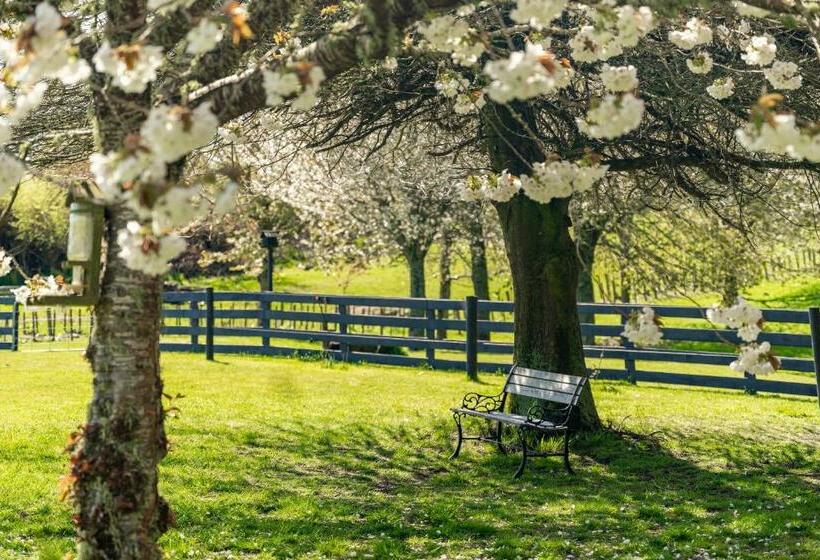 Lupin Lodge Bed & Breakfast