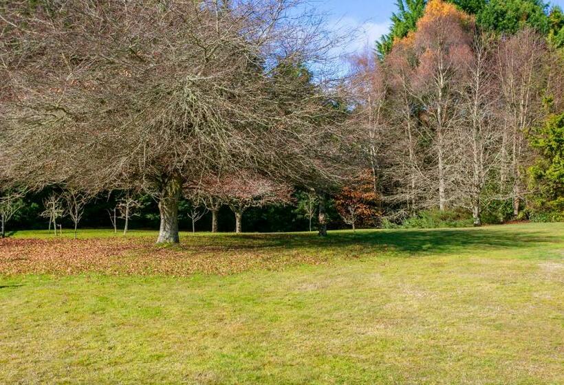 Lupin Lodge Bed & Breakfast