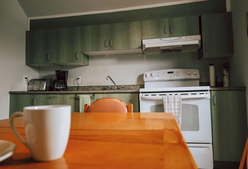 بنسيون Auberge L Orpailleur