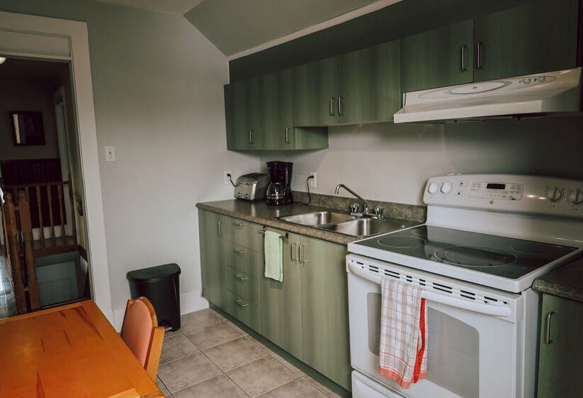 بنسيون Auberge L Orpailleur