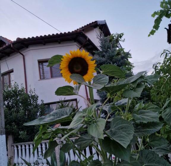 Пансион En Vacances