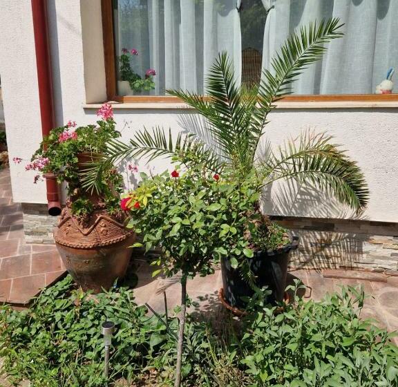 Пансион En Vacances