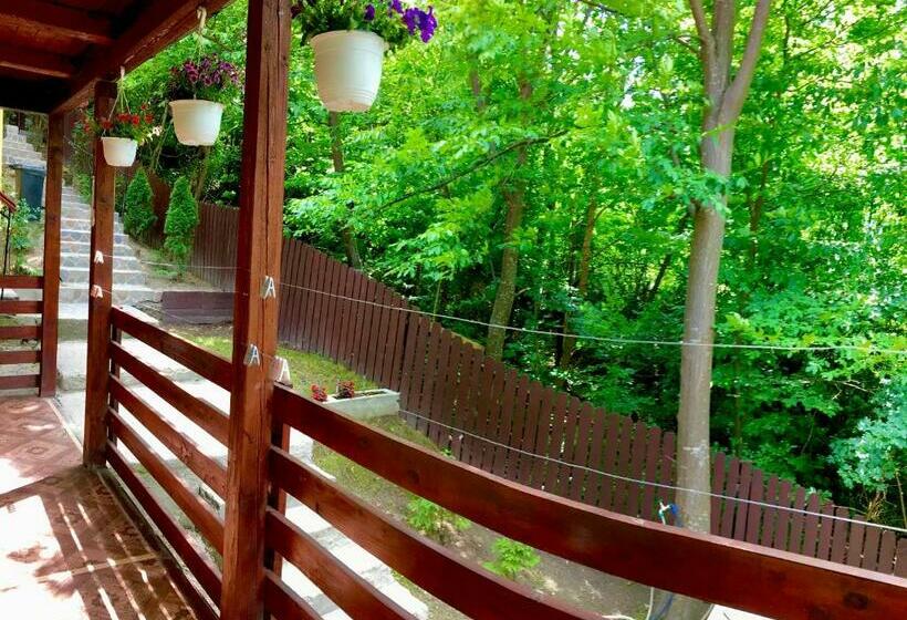 펜션 Hegyi Lak Vendégház