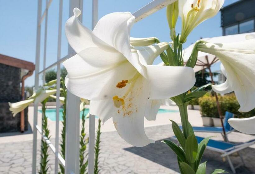 بنسيون Lux Suite Sicily