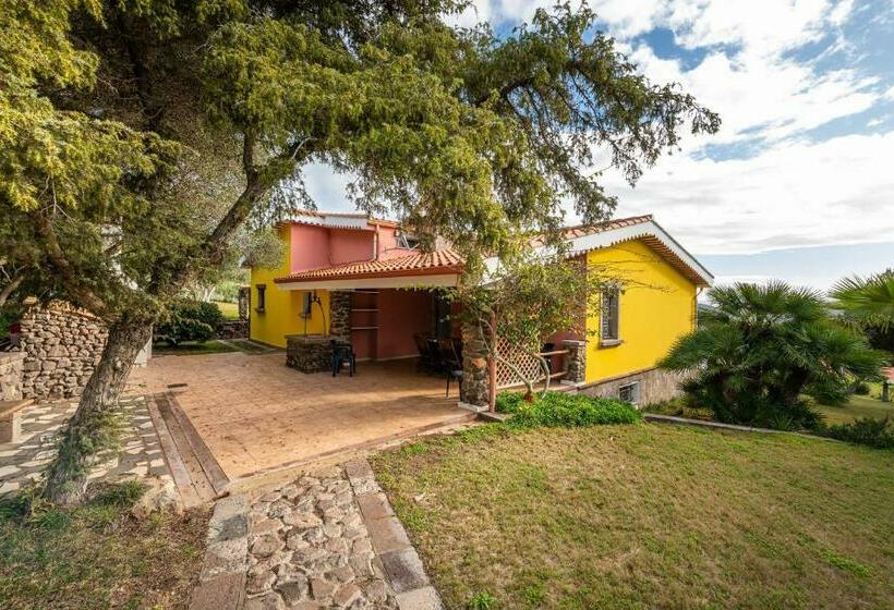 Appartamento Ambra One