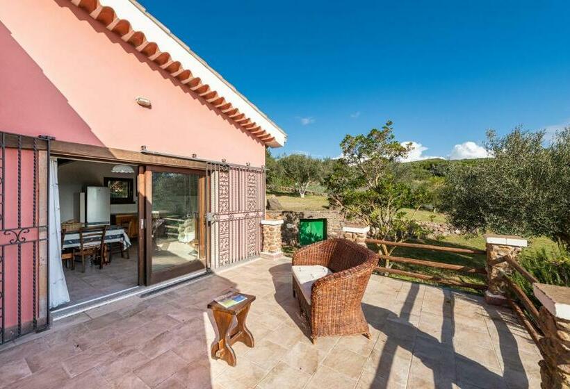 Appartamento Ambra One