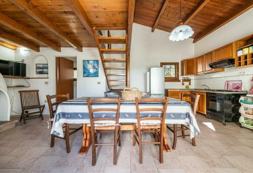 Appartamento Ambra One