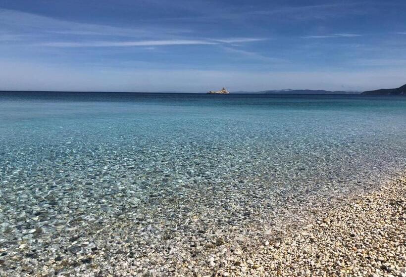 ベッドアンドブレックファースト Bed And Coffee Rooms Portoferraio