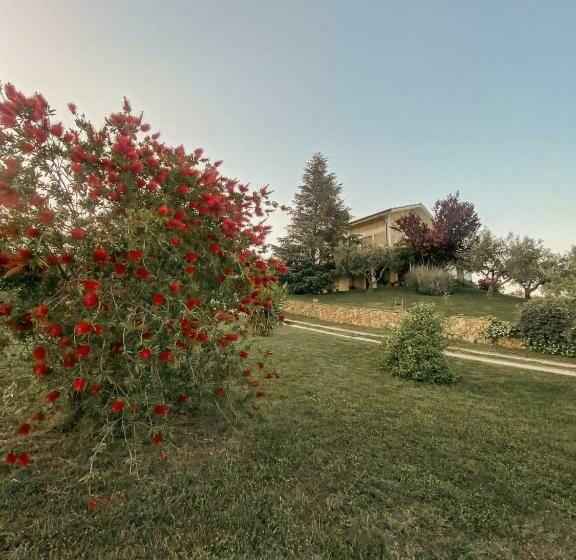 Bed & Breakfast Le Coccinelle