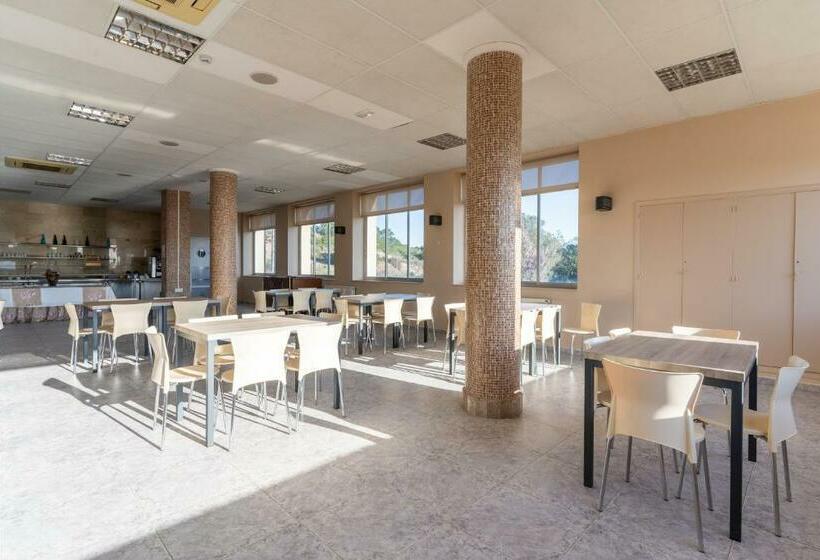 호텔 Costablanca Explore Hostel Sports & Events