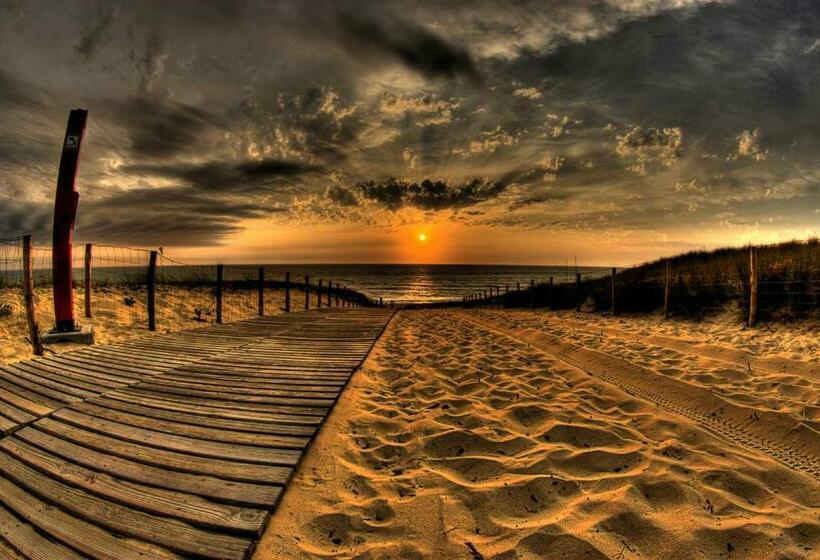 호텔 Downtown Comfort