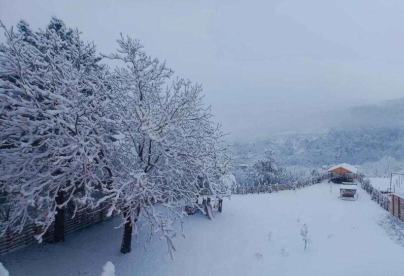 هتل Holiday Borjomi