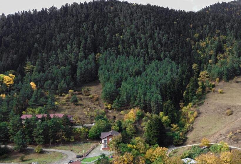 هتل Holiday Borjomi