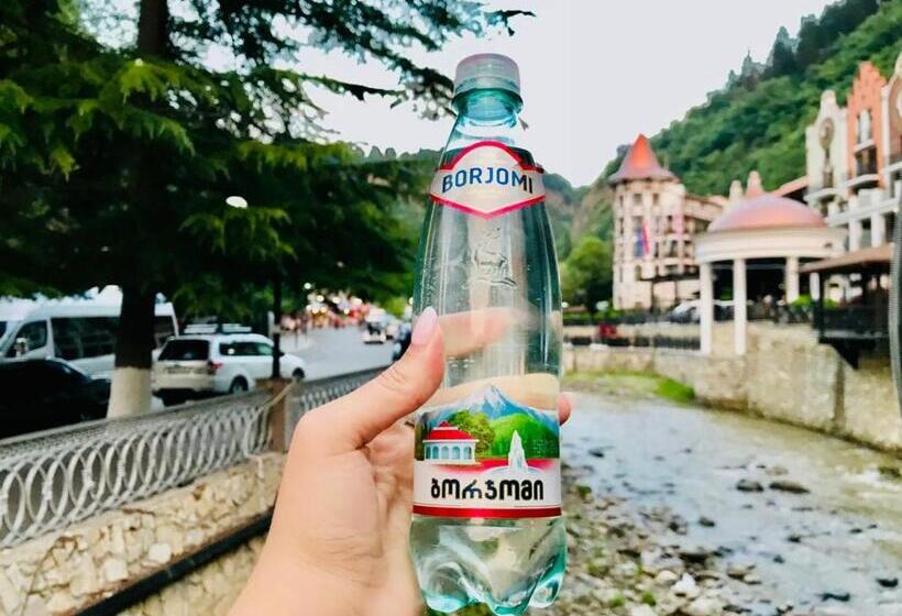 هتل Holiday Borjomi