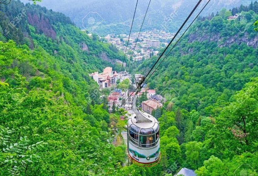 هتل Holiday Borjomi