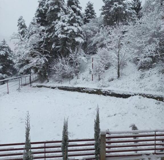 هتل Holiday Borjomi