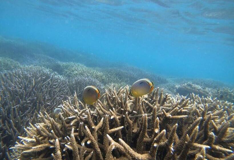 ホテル Janas Blue Water Corner