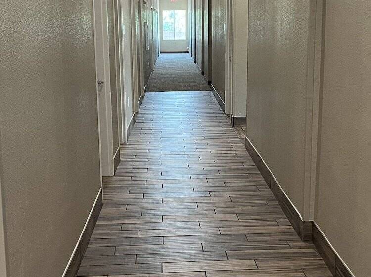 בית מלון כפרי Mainstay Suites Dallas Northwest   Irving