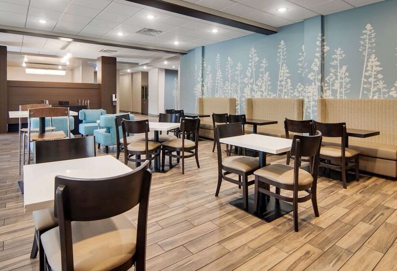 בית מלון כפרי Mainstay Suites Dallas Northwest   Irving