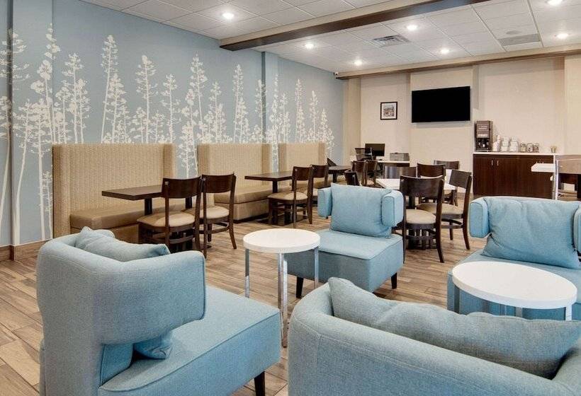 בית מלון כפרי Mainstay Suites Dallas Northwest   Irving