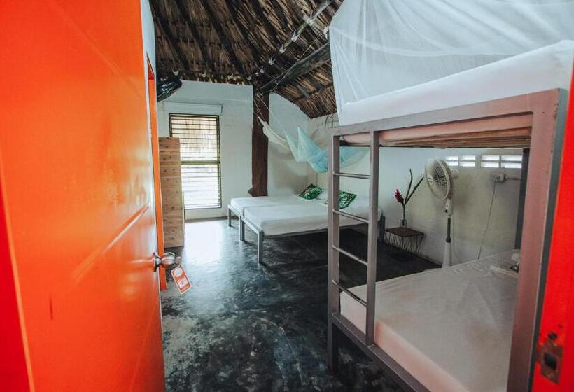 ホテル Makenke Hostel By Los Colores Ecoparque