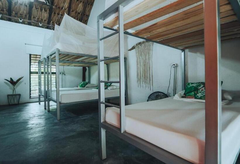 ホテル Makenke Hostel By Los Colores Ecoparque