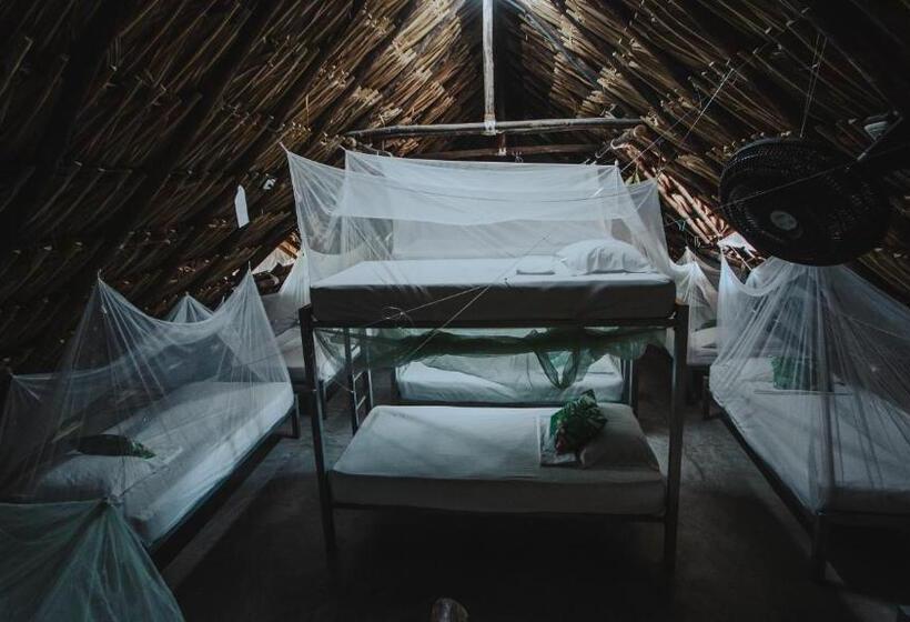 ホテル Makenke Hostel By Los Colores Ecoparque