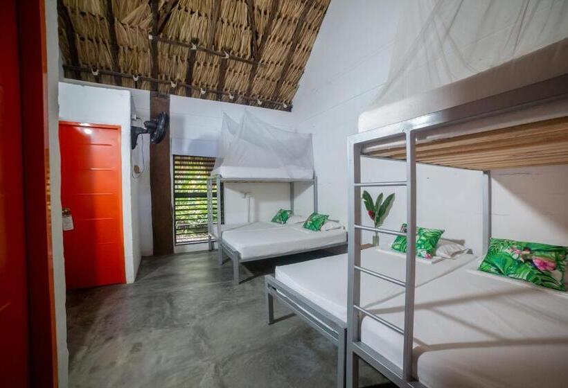 ホテル Makenke Hostel By Los Colores Ecoparque