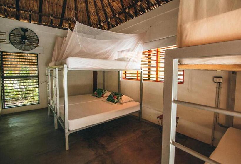 ホテル Makenke Hostel By Los Colores Ecoparque