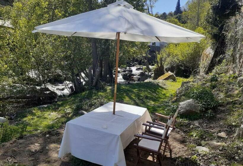 Отель Quinta Dos Carvalhos The Wine House Farm In Center Of Lamego Capital Of The Douro