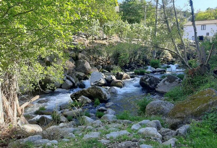 Отель Quinta Dos Carvalhos The Wine House Farm In Center Of Lamego Capital Of The Douro
