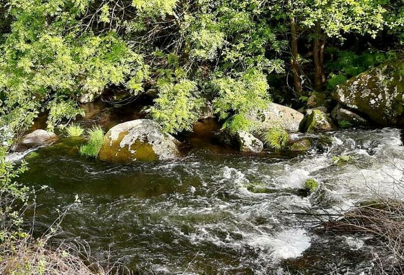 Отель Quinta Dos Carvalhos The Wine House Farm In Center Of Lamego Capital Of The Douro