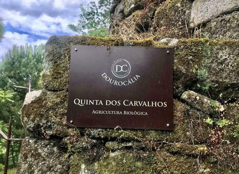 Отель Quinta Dos Carvalhos The Wine House Farm In Center Of Lamego Capital Of The Douro