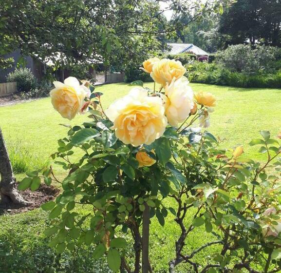 Пансион Edgemoor Manor