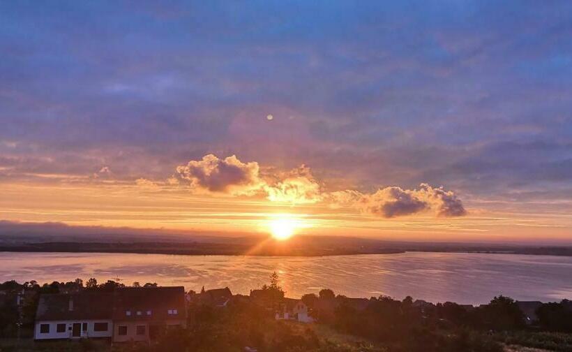 פנסיון Palavia Apartments