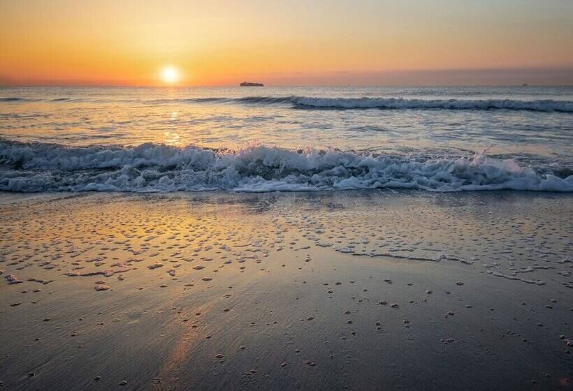 Sea Gull Ocean Villa