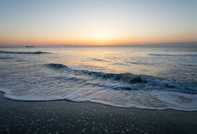 Sea Gull Ocean Villa
