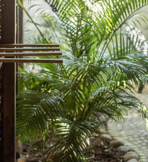 호스텔 La Canasta