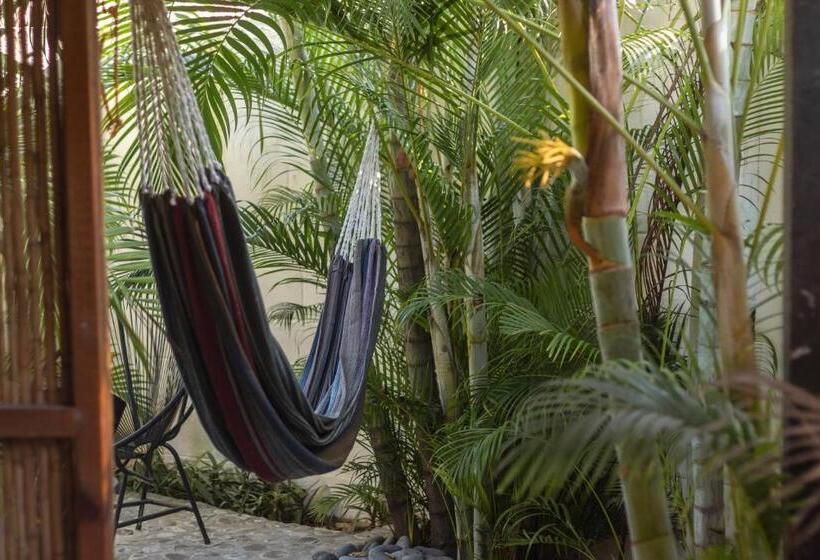 호스텔 La Canasta