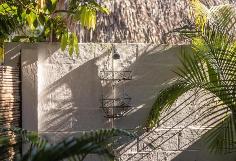 호스텔 La Canasta