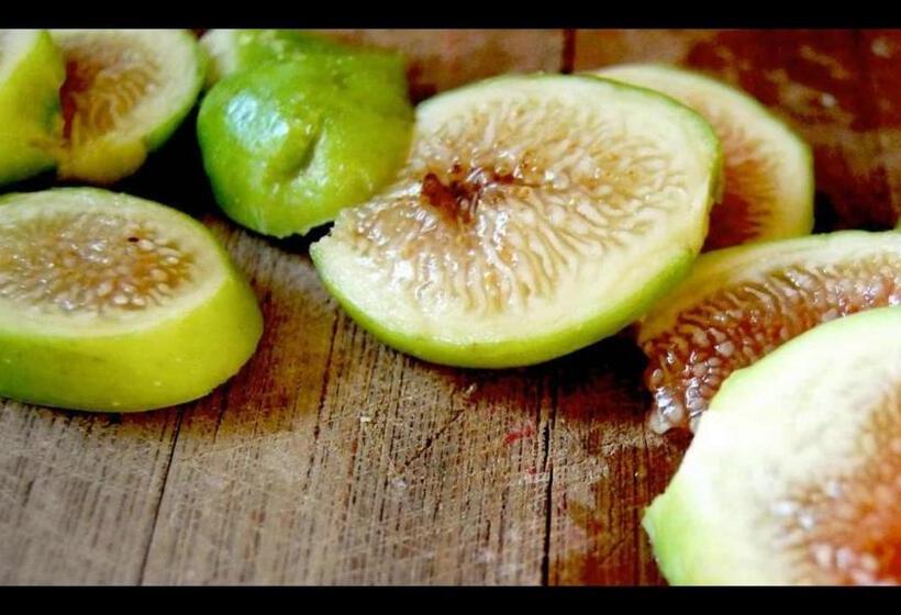 B&b Casa Vacanze Cilentami