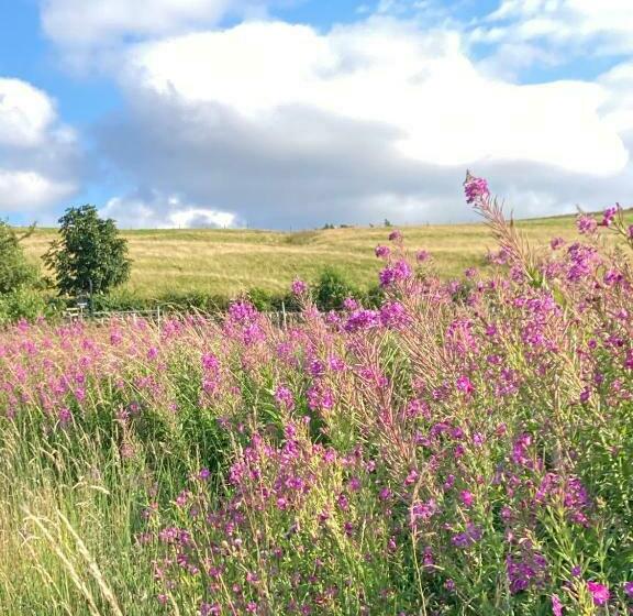 צימר Hotspur House