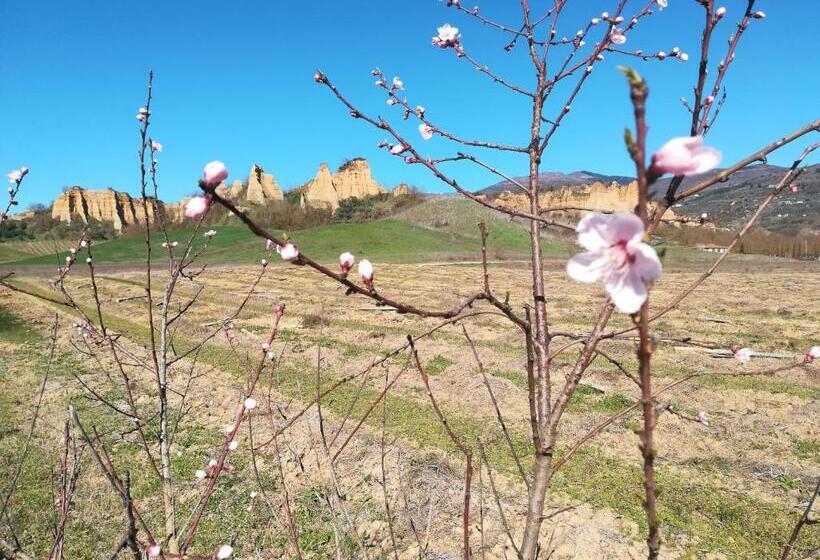 فندق Agriturismo Botro