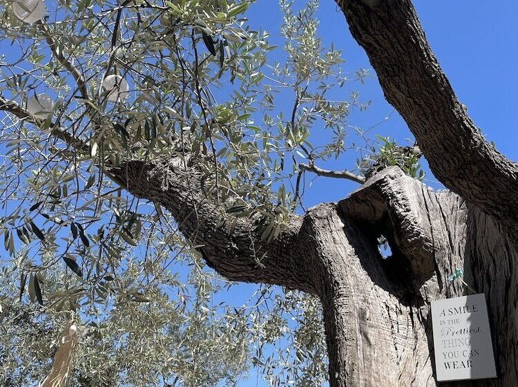 호텔 Alkimia Boutique