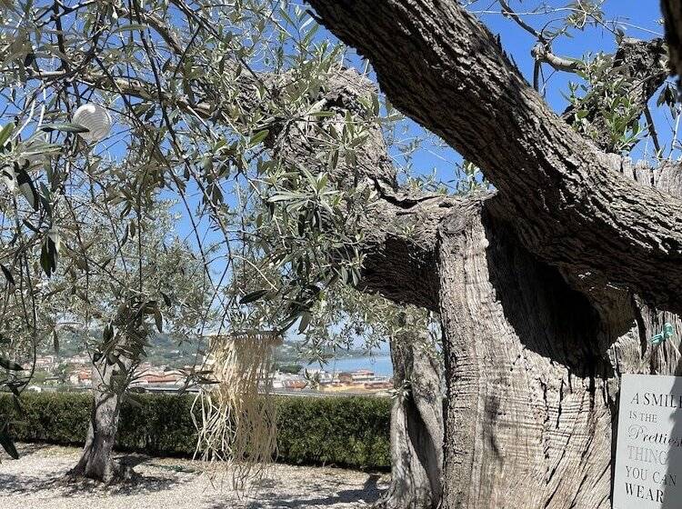 호텔 Alkimia Boutique