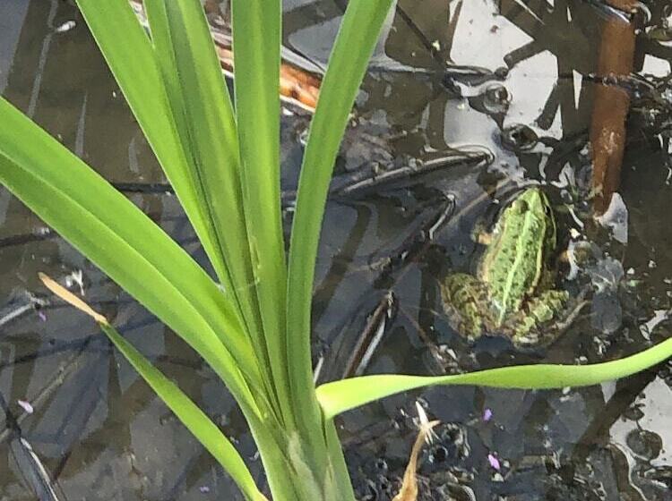 בית מלון כפרי Le Bois Des Chambres