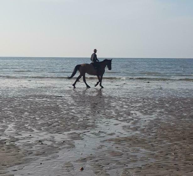 ホテル Les Gîtes De Ninon